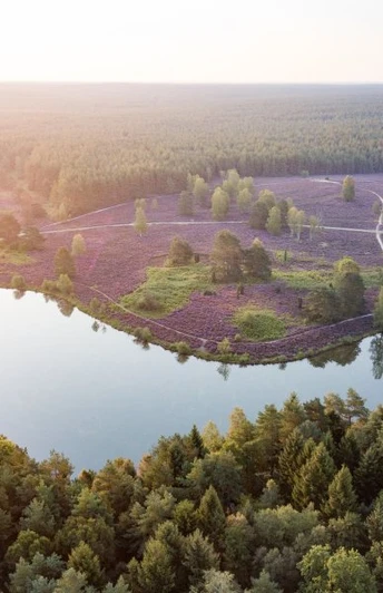 Angelbecksteich Luftaufnahme Angelbecksteich Luftaufnahme Fishing pond aerial viewFiskedam set fra luftenLuchtfoto visvijver