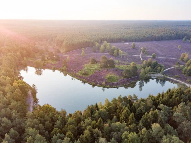 Angelbecksteich Luftaufnahme Angelbecksteich Luftaufnahme Fishing pond aerial viewFiskedam set fra luftenLuchtfoto visvijver