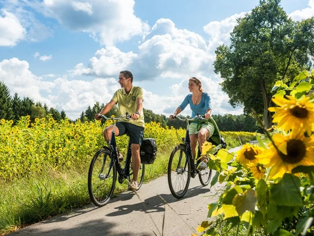 Radweg Naturpark Südheide Radweg Naturpark Südheide