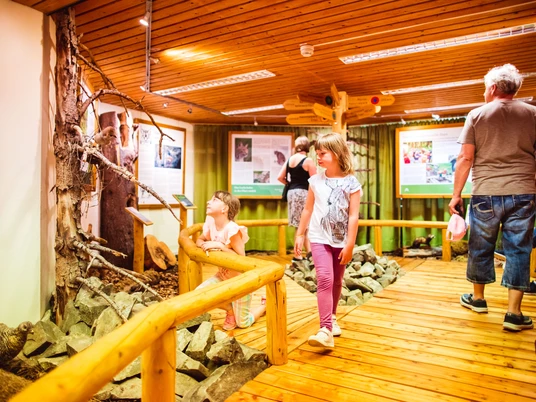 Naturzeitmuseum Naturzeitmuseum