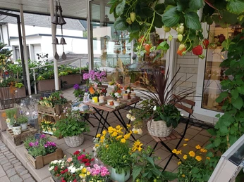 Blumen Lindner (1).jpg