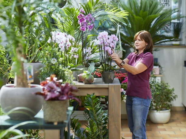 Blumen Lindner (3).jpg