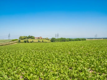 Landstrich Grevenbroich