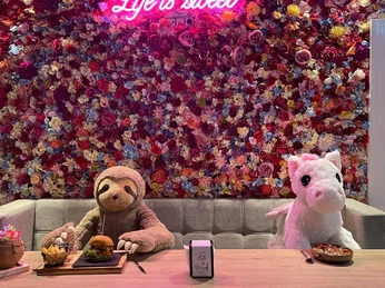 3.jpg Zu sehen ist eine Wand, die aus roten und rosa Blumen besteht, davor stehen zwei große Plüschtiere.