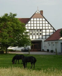 haus-hansen.jpg Fachwerkhaus mit spitzem Giebel, umgeben von grüner Wiese, auf der zwei Pferde grasen.