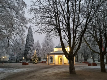Ein schneebedeckter Winterbrunnen umgeben von leuchtenden Bäumen und einem dekorierten Weihnachtsbaum.