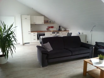 Gaesteappartement-Luebbecke-1.jpg Moderne Dachgeschosswohnung mit offener Küche und gemütlicher Sofaecke, dekoriert mit Zimmerpflanzen.