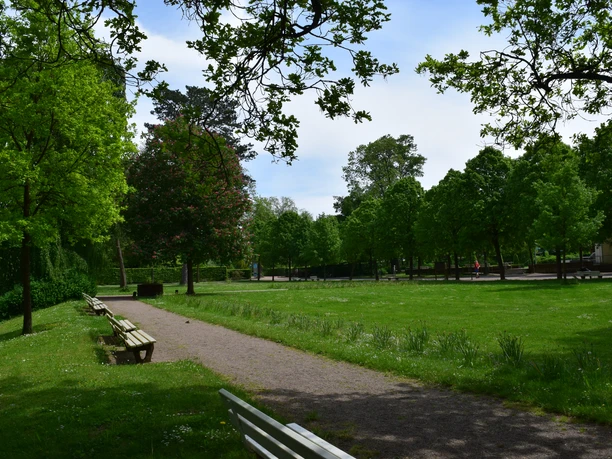 Historischer Kurpark mit gepflegten Grünflächen, verschlungenen Wegen und schattenspendenden Bäumen.