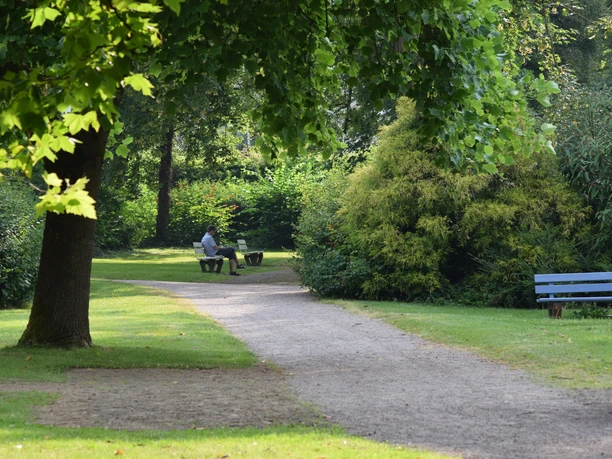 Grüner Parkweg mit Bänken und Bäumen, eine Person sitzt entspannt auf einer Bank.