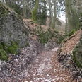 Hohlweg Große Egge.jpg Mossbewachsene Felsen säumen einen bewaldeten Pfad mit Laub, von hohen Bäumen überragt.