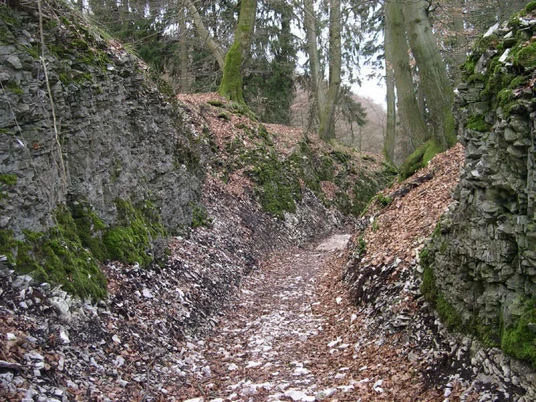 Hohlweg Große Egge.jpg Mossbewachsene Felsen säumen einen bewaldeten Pfad mit Laub, von hohen Bäumen überragt.