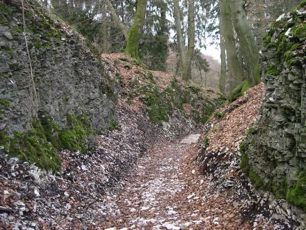 Hohlweg Große Egge.jpg Mossbewachsene Felsen säumen einen bewaldeten Pfad mit Laub, von hohen Bäumen überragt.