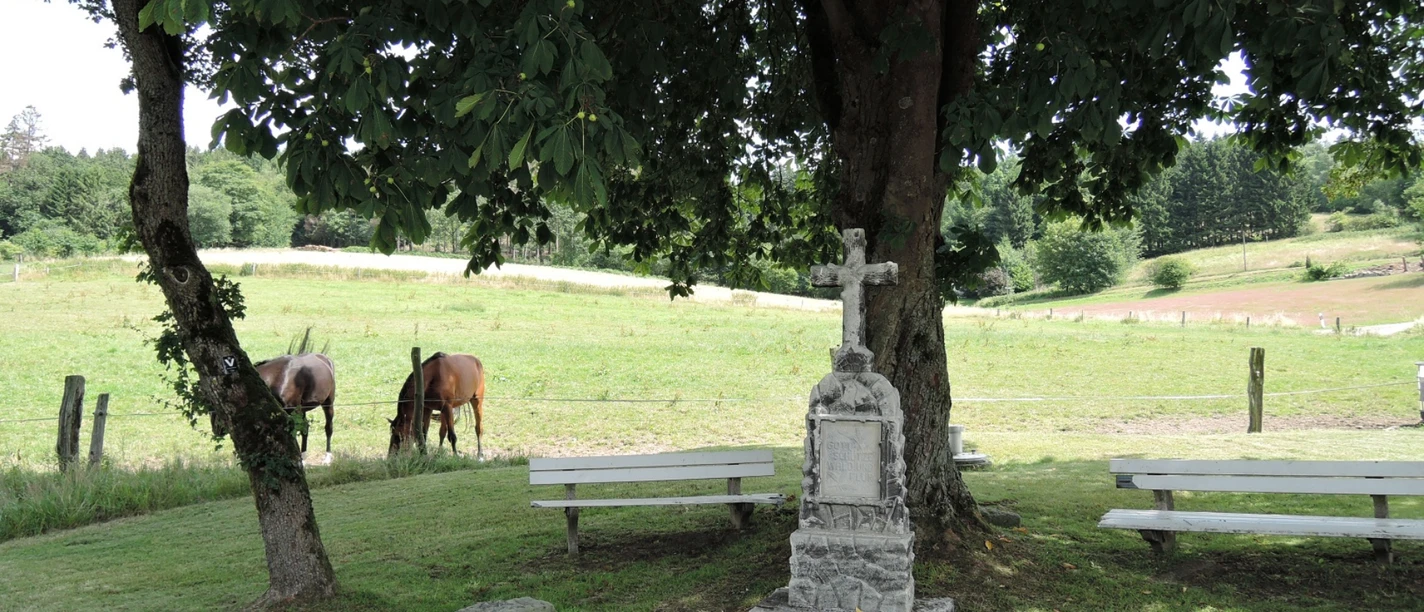 Steinernes Kreuz unter Kastanie auf Wiese, Pferde grasen. Bänke laden zur Rast im Grünen ein.