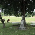 Kreuz „Wald und Flur“.jpg Steinernes Kreuz unter Kastanie auf Wiese, Pferde grasen. Bänke laden zur Rast im Grünen ein.