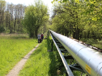 Eine lange Rohrleitung verläuft entlang eines schmalen Waldpfads, flankiert von frühlingshaften Bäumen.