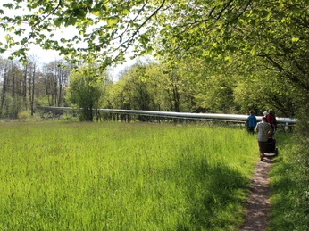 Moorspaziergang Personengruppe spaziert auf schmalem Pfad durch grüne Wiesen neben einer Pipeline im Moorgebiet.