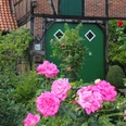 Ein traditionelles Fachwerkhaus mit leuchtend grüner Tür, umgeben von rosa blühenden Rosen.