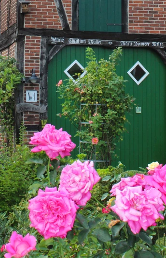 Ein traditionelles Fachwerkhaus mit leuchtend grüner Tür, umgeben von rosa blühenden Rosen.