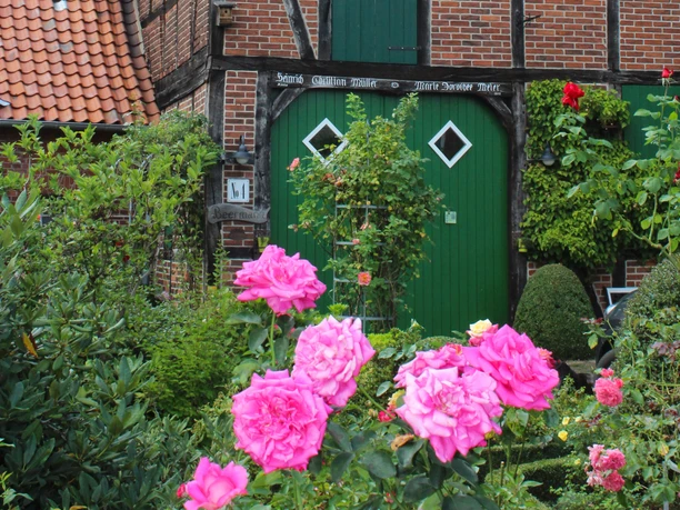 A traditional half-timbered house with a bright green door, surrounded by pink roses in bloom.