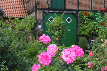 Ferienwohnung-an-der-Kirche-Landesbergen Ein traditionelles Fachwerkhaus mit leuchtend grüner Tür, umgeben von rosa blühenden Rosen.