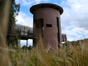 DSCF7925.JPG Ein runder Backsteinturm steht inmitten eines Feldes, umgeben von goldenem Getreide unter blauem Himmel.