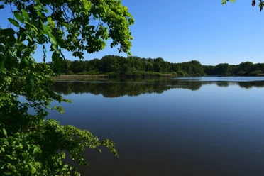 See mit spiegelglatter Wasseroberfläche, umgeben von grünem Laub und dicht bewaldeten Hügeln.