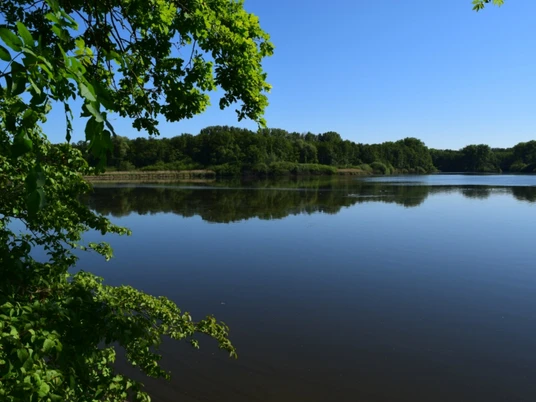 See mit spiegelglatter Wasseroberfläche, umgeben von grünem Laub und dicht bewaldeten Hügeln.