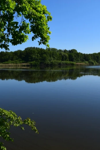 Norderteich See mit spiegelglatter Wasseroberfläche, umgeben von grünem Laub und dicht bewaldeten Hügeln.