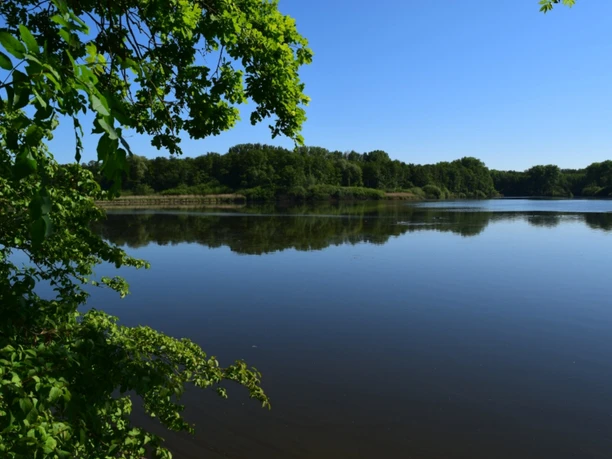 Norderteich See mit spiegelglatter Wasseroberfläche, umgeben von grünem Laub und dicht bewaldeten Hügeln.