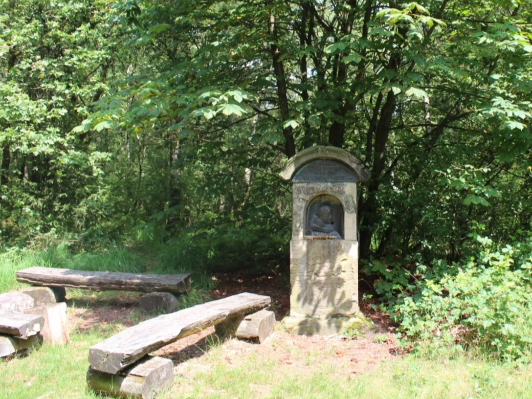 Pater-Beda-Gedenkstein Gedenkstein im Wald zu Ehren von Pater Beda, flankiert von Holzbänken, umgeben von dichter Vegetation.