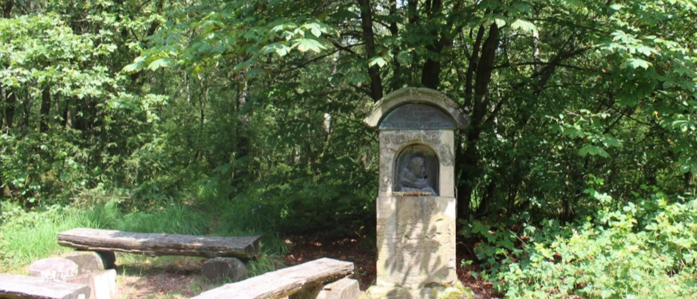 Pater-Beda-Gedenkstein Gedenkstein im Wald zu Ehren von Pater Beda, flankiert von Holzbänken, umgeben von dichter Vegetation.