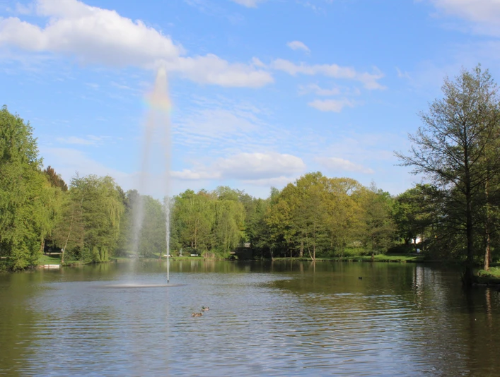 Seekurpark Ein ruhiger See mit einer hohen Wasserfontäne, umgeben von üppigem Grün und vereinzelten Enten.