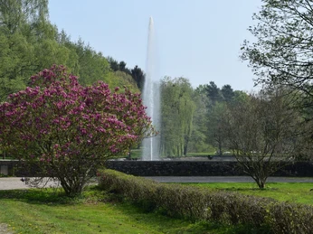 Seekurpark im Sommer Ein blühender Rhododendron vor einem Springbrunnen im Seekurpark, umgeben von grünen Bäumen.