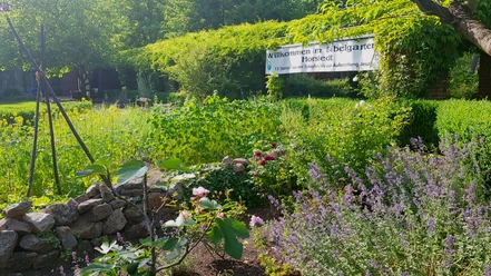 Der Bibelgarten in Horstedt Der Bibelgarten in Horstedt