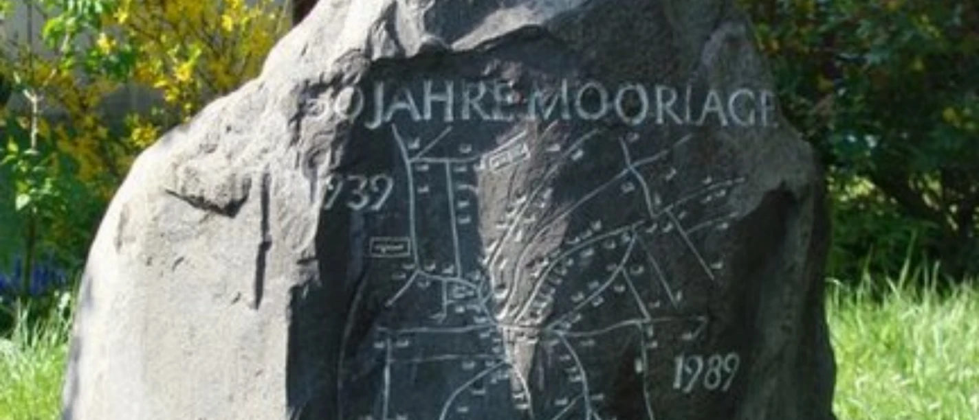 Gedenkstein mit eingravierter Landkarte und der Aufschrift "50 Jahre Moorlage" zwischen Pflanzen.