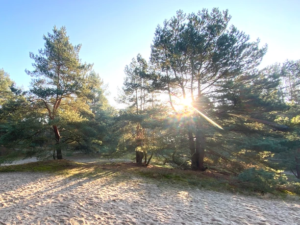 Naturschutzgebiet Voßberge mit Wanderdüne Naturschutzgebiet Voßberge mit Wanderdüne
