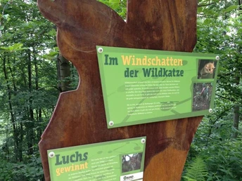 Wildkatzen Lehrpfad