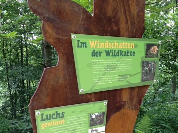 Wildkatzen Lehrpfad