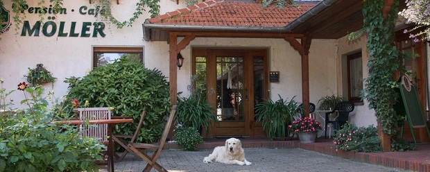 Pension-Landcafe-Moeller-1.jpg Der Eingang zum Café Möller, umgeben von grünen Pflanzen, mit einem Hund auf der Terrasse.