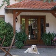 Pension-Landcafe-Moeller-1.jpg Der Eingang zum Café Möller, umgeben von grünen Pflanzen, mit einem Hund auf der Terrasse.