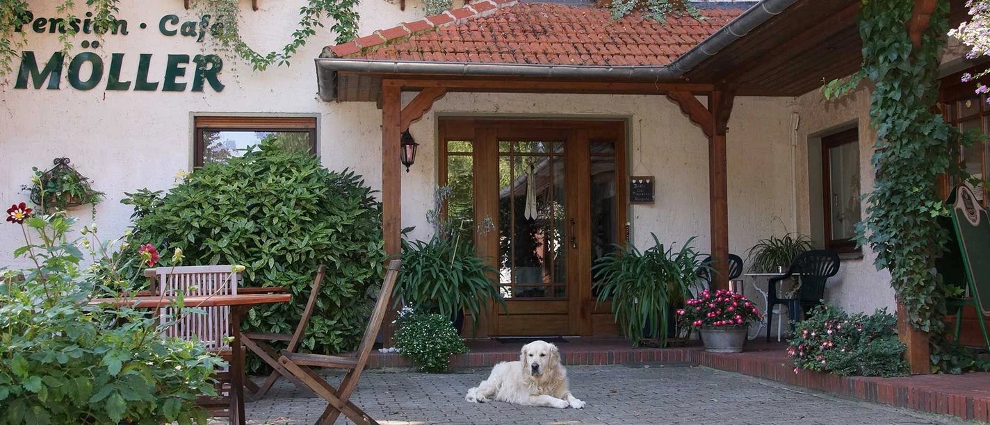 Pension-Landcafe-Moeller-1.jpg Der Eingang zum Café Möller, umgeben von grünen Pflanzen, mit einem Hund auf der Terrasse.