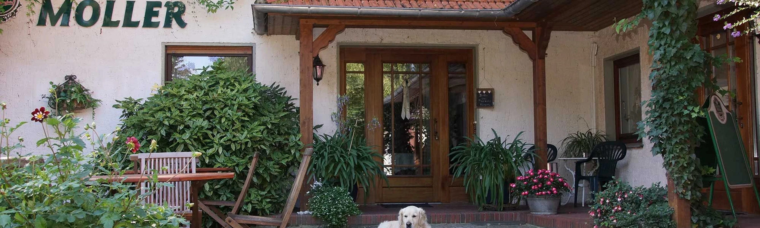 Pension-Landcafe-Moeller-1.jpg Der Eingang zum Café Möller, umgeben von grünen Pflanzen, mit einem Hund auf der Terrasse.