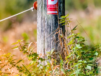 Borgholzhausen - Wegezeichen Weg für Genießer Wegezeichen "Weg für Genießer" in Borgholzhausen