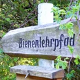 Ein hölzerner Wegweiser mit der Aufschrift „Bienenlehrpfad“ im Grünen, umgeben von Blättern.