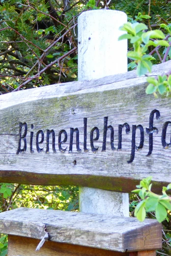 Wegweiser Bienenlehrpfad Ein hölzerner Wegweiser mit der Aufschrift „Bienenlehrpfad“ im Grünen, umgeben von Blättern.
