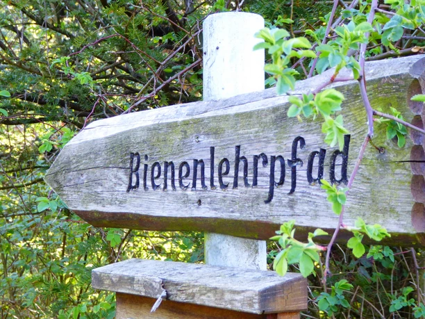 Wegweiser Bienenlehrpfad Ein hölzerner Wegweiser mit der Aufschrift „Bienenlehrpfad“ im Grünen, umgeben von Blättern.
