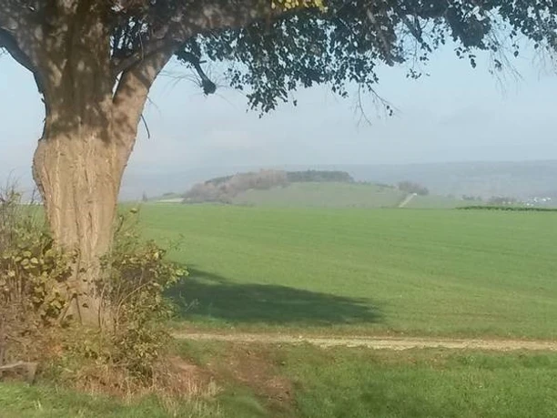 Drübersche Linde-Sülbecker Berg