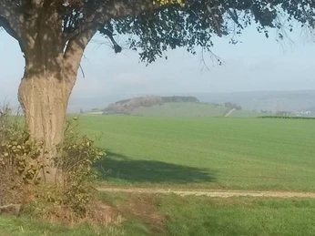 Drübersche Linde und Sülbecker Berg Drübersche Linde-sülbecker Berg