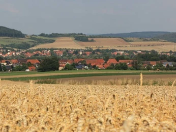 Blick auf Drüber Blick-auf-drüber