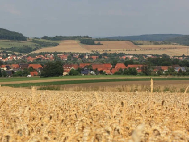 Blick auf Drüber Blick-auf-drüber